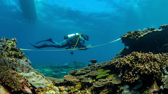 A recent research trip at Ningaloo.
