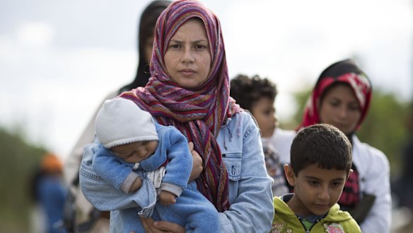 Migrants cross into Hungary from countries such as Syria.