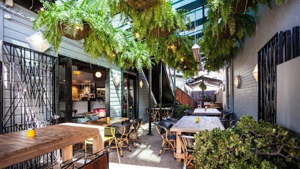 The lush, fern-filled courtyard at 5 Boroughs in Ascot.