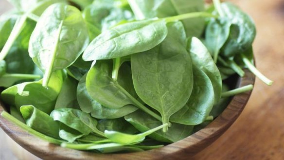 Baby spinach leaves are ideal for salads.