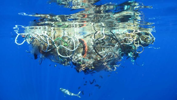 Rubbish in the Great Northern Pacific Patch in the Pacific Ocean.