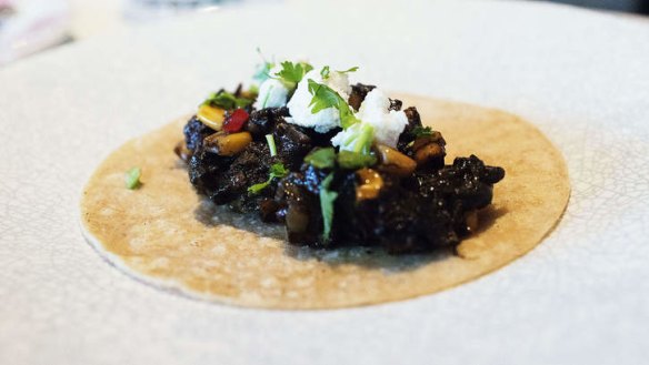 Taco palenque with huitlacoche, zucchini, corn, chille ancho, chille chipotle and parmesan.