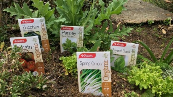 Win a selection of organic seeds for spring sowing