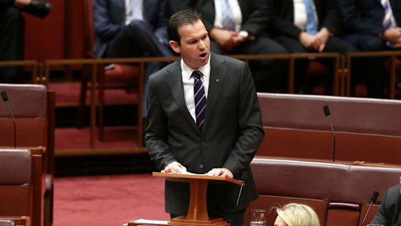 Senator Matthew Canavan delivers his first speech. Photo: Alex Ellinghausen