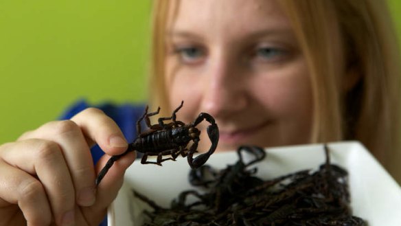 Skye Blackburn with her new addition to her edible insect range, scorpions.