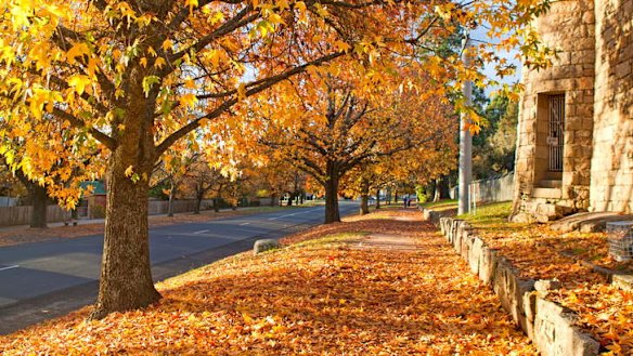 Autumn colours, Beechworth, Victoria.