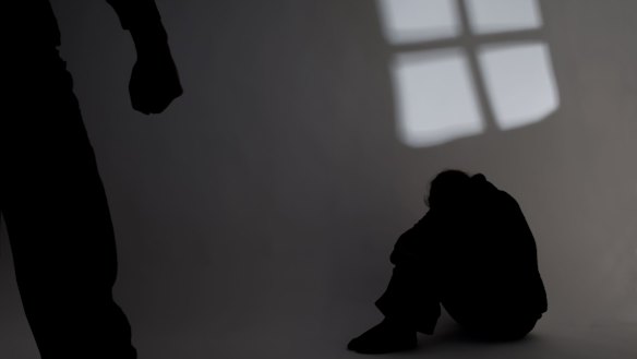 A former police officer has pleaded guilty to two family violence charges.