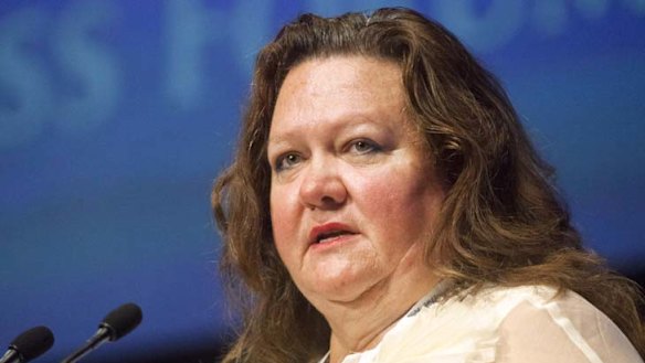 Rinehart sees role of white knight, but is ready to ride off