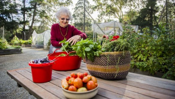 Jean Willoughby with some of the produce harvested at the Kingston community garden.