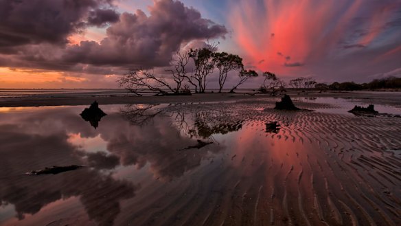 The El Nino brewing in the Pacific is likely to affect the global climate.