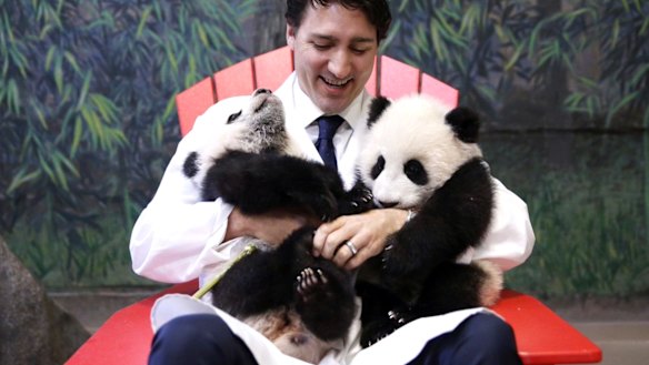 Justin Trudeau cuddles up to baby pandas. What's not to love?