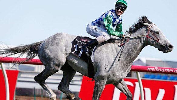 Cup bound: Jockey Glen Boss is all smiles as Puissance de Lune wins at Flemington.