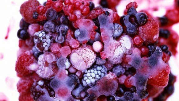 Patties Foods says its tests show no links between its berries and the hepatitis A outbreak.