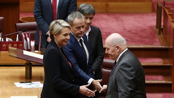 Governor-General Sir Peter Cosgrove was accused of snubbing deputy Labor leader Tanya Plibersek.