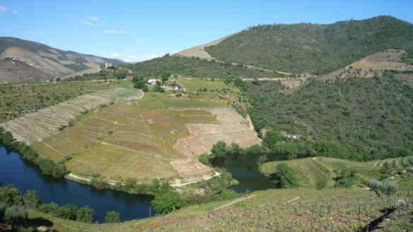 The spectacular Douro Valley in Portugal.
