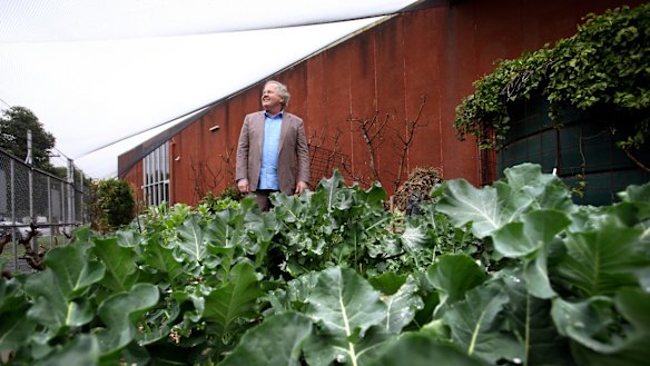Pitzy Folk at the warehouse earmarked for a park