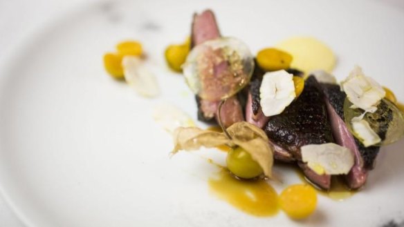 Ash-grilled duck,white carrot puree and cape gooseberries.