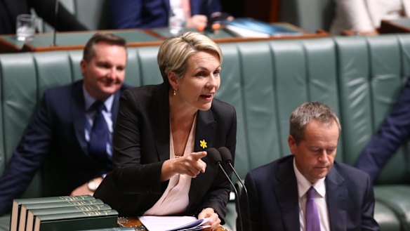 Deputy Opposition Leader Tanya Plibersek during question time  on Wednesday.