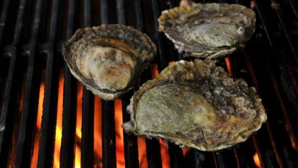 Hot stuff: Angasi oysters.