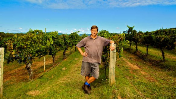 On the vine: Lakes Folly winemaker Rodney Kempe.