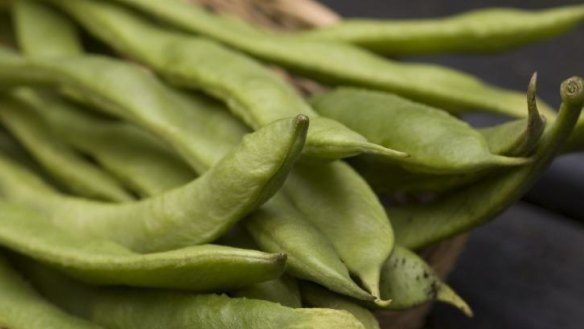 Full of beans: Beans are fast and easy to grow.