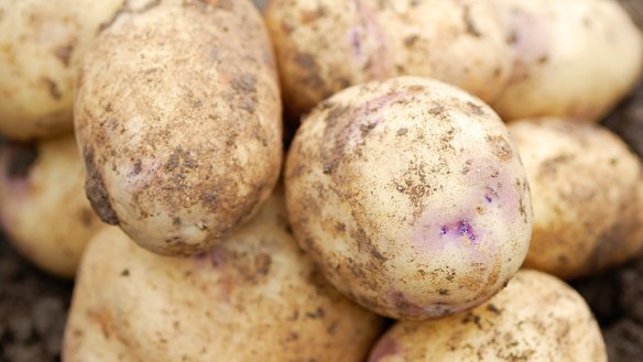 Those 'grown in Australia' potatoes might actually be from Belgium.