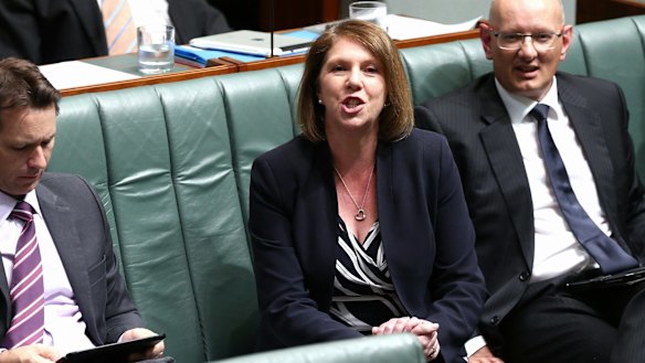 Opposition health spokeswoman Catherine King in Question Time today.