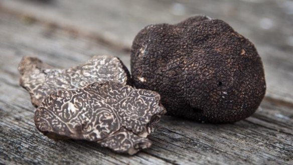 Black Cat truffles.