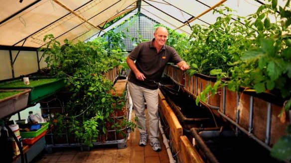 Ricky Somerville of Wanniassa with his aquaponics which includes both fish and vegetables.