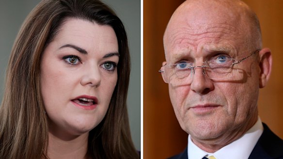 Sarah Hanson-Young says David Leyonhjelm hurled sexist abuse at her during a debate on violence against women.