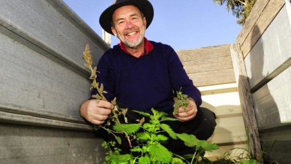 Richard Horobin checks out the edible weeds growing in the Cotter garden compost heap.
