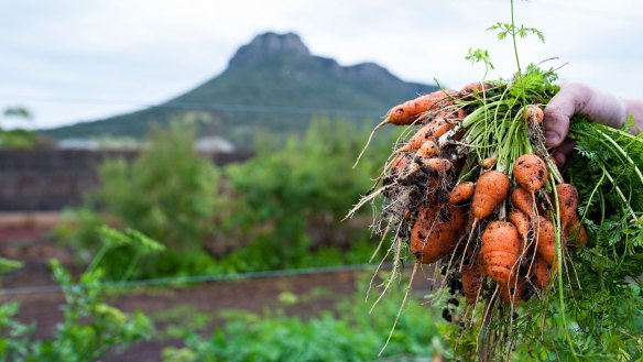 The kitchen garden at Dunkeld's Royal Mail Hotel is bursting with spring produce.