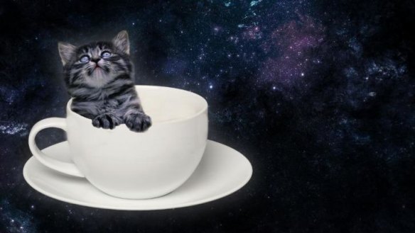 Artist's impression of a "kitten catpaccino" from Catmosphere Sydney.