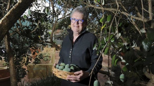 Barbara Payne holds a basket of kiwi fruit from her garden vine.