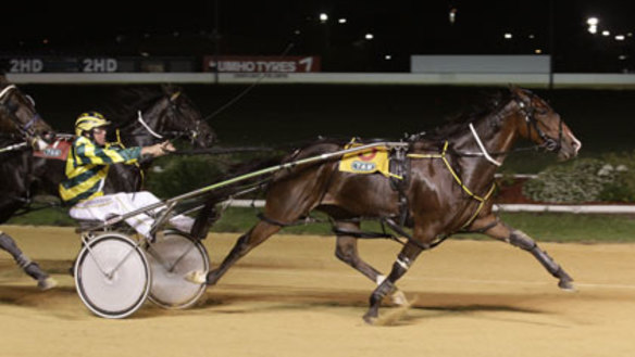 Harold Park great keen to farewell his home track in the right way