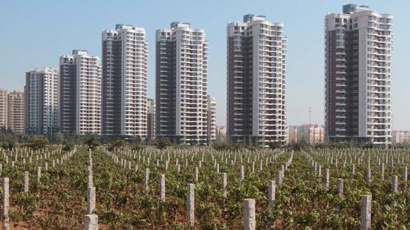 Apartment blocks tower over vines at Chateau Changyu Castel, Shandong province, China, in a scene from the documentary 'Red Obsession'.