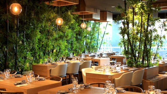 A bamboo-themed interior that overlooks the recently renovated Piazza dining hub.