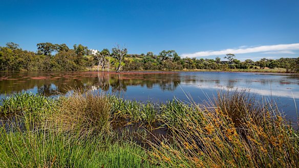 The North East Link will pass under under the Banyule Flats Reserve. 