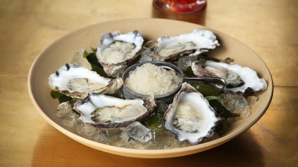 Prodded to perfection: Sydney rock oysters.
