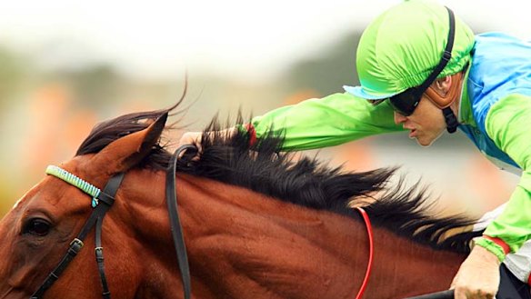 Double bid . . . Craig Williams wins the VRC OAks on Brazilian Pulse.