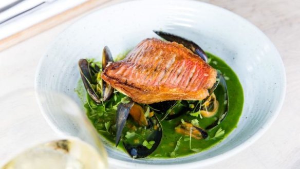 Snapper, parsley and mussels at Four in Hand by Guillaume.