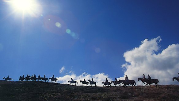 Charm ... horse riding in the High Country.