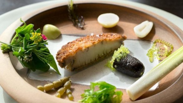 Crumbed abalone with native seaweeds and bunya nut.