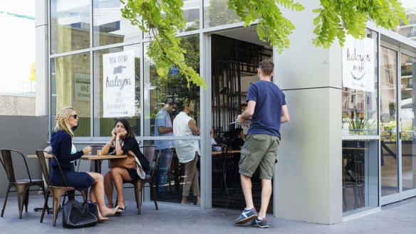 Oasis: Halcyon Coffee's green and shady courtyard.