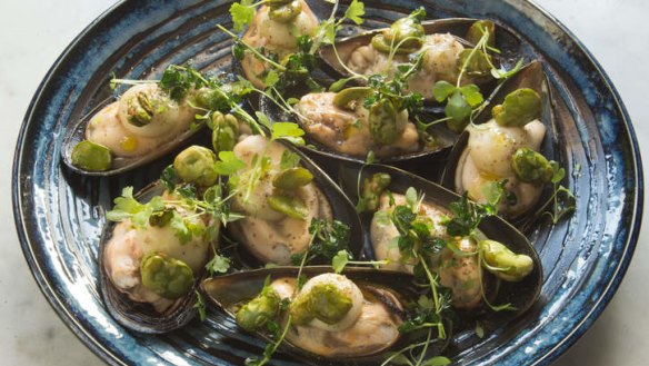 Mount Martha mussels with celeriac puree and broad beans.