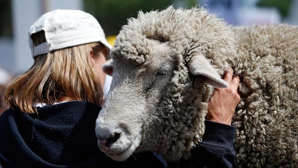 The government has "suspended the live export licence of one company".