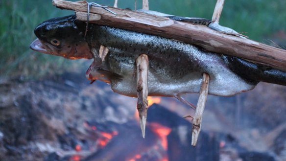 Fish ready for the fire: Nature provides everything we need.