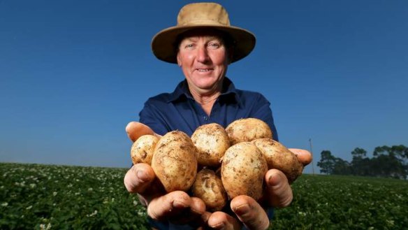 To market: Grower Bill Henderson has high hopes for his spuds.