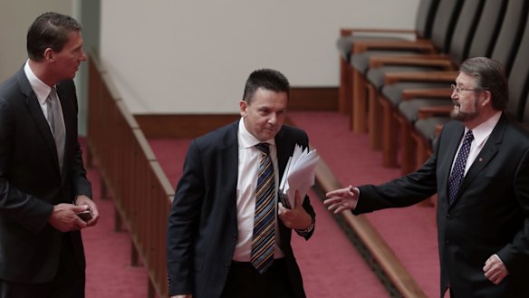 Crossbench senators Cory Bernardi, Nick Xenophon and Derryn Hinch have called for a full audit of parliamentarians' citizenship status.