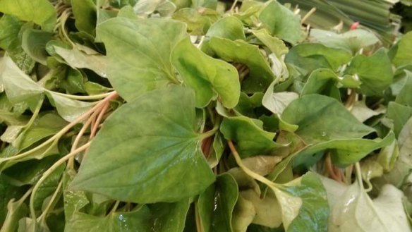Look for bunches of fish mint at KV Fresh Fruit at the Footscray Market.